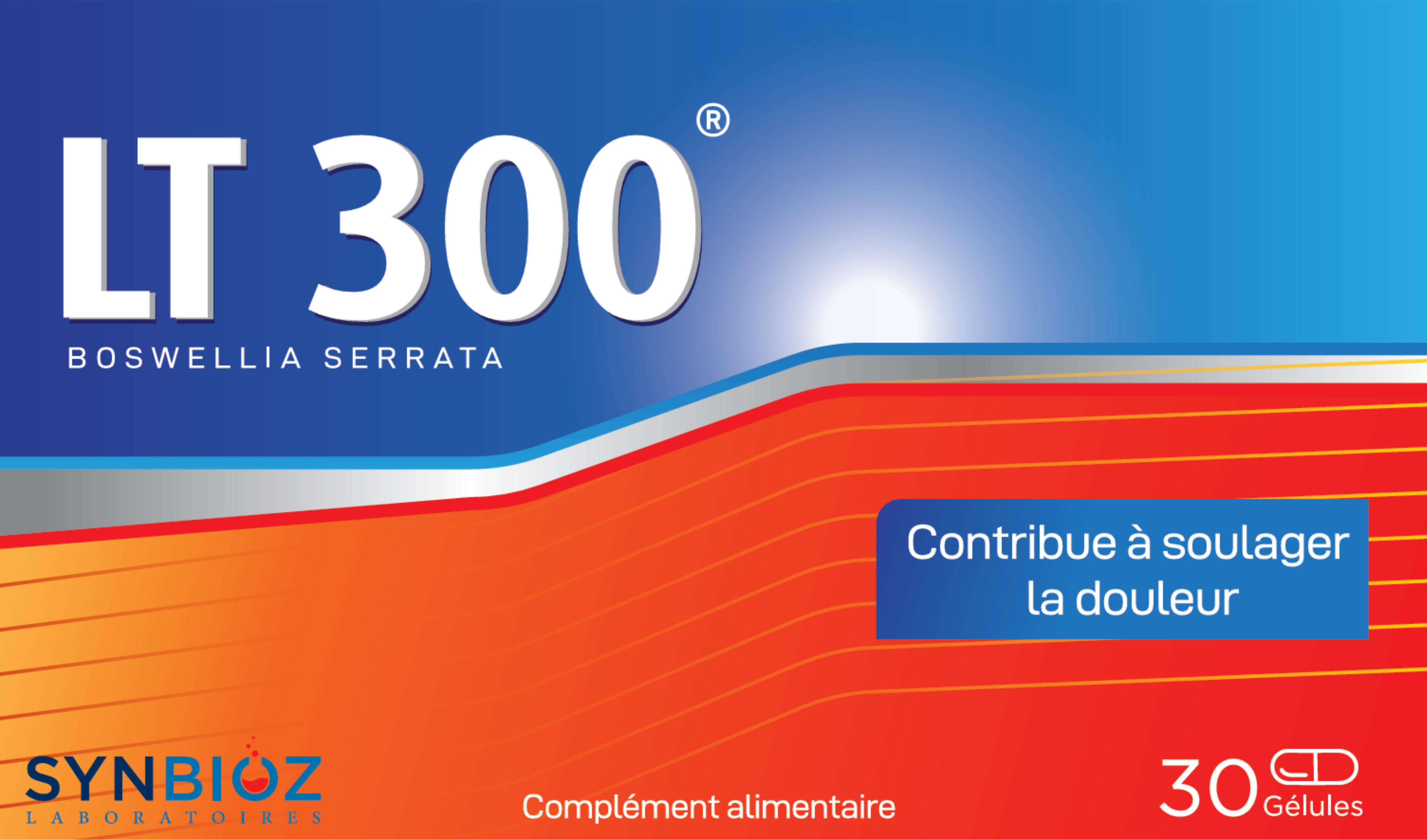 LT300